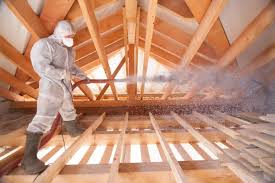 Best Crawl Space Insulation  in Cheval, FL